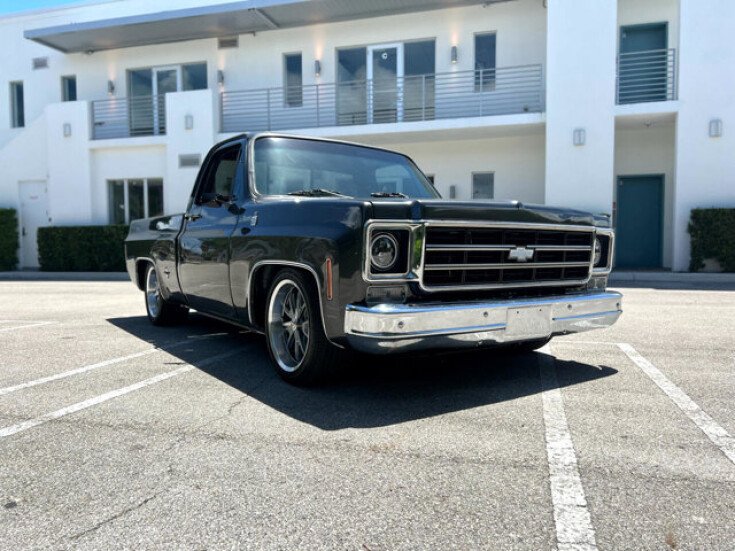Photo for 1978 Chevrolet C/K Truck